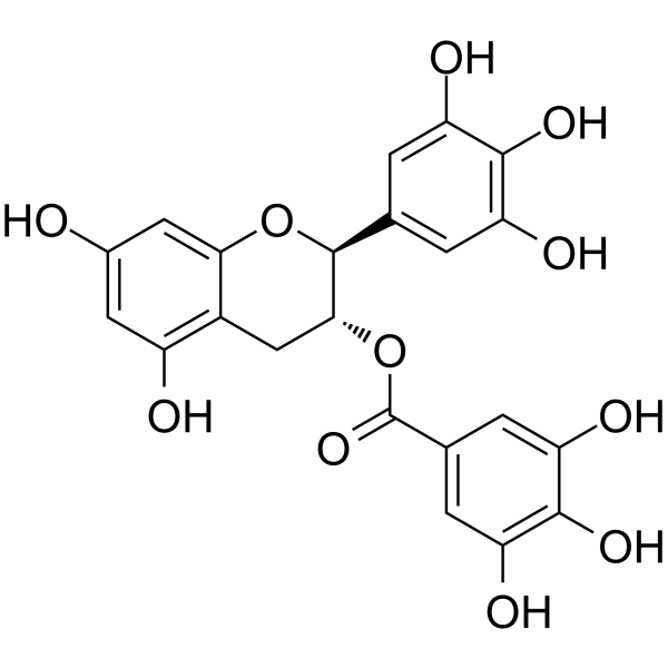 GCG Structure